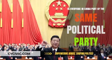 China's Political Landscape: One Party or Diverse Affiliations?