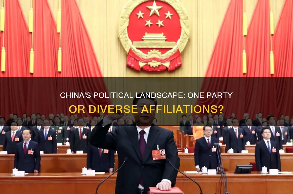is everyone in china part of the same political party