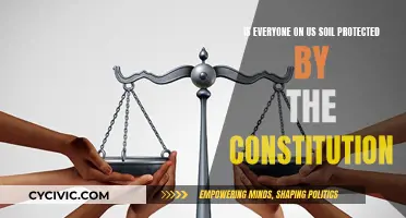 US Constitution: Who Does It Protect and Why?