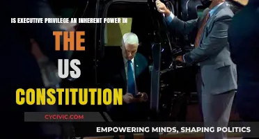 Executive Privilege: A Constitutional Power?
