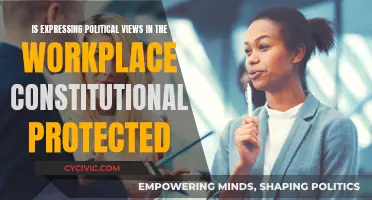 Political Expression at Work: Free Speech or Not?