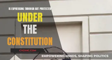 Artistic Expression: Protected by the Constitution?