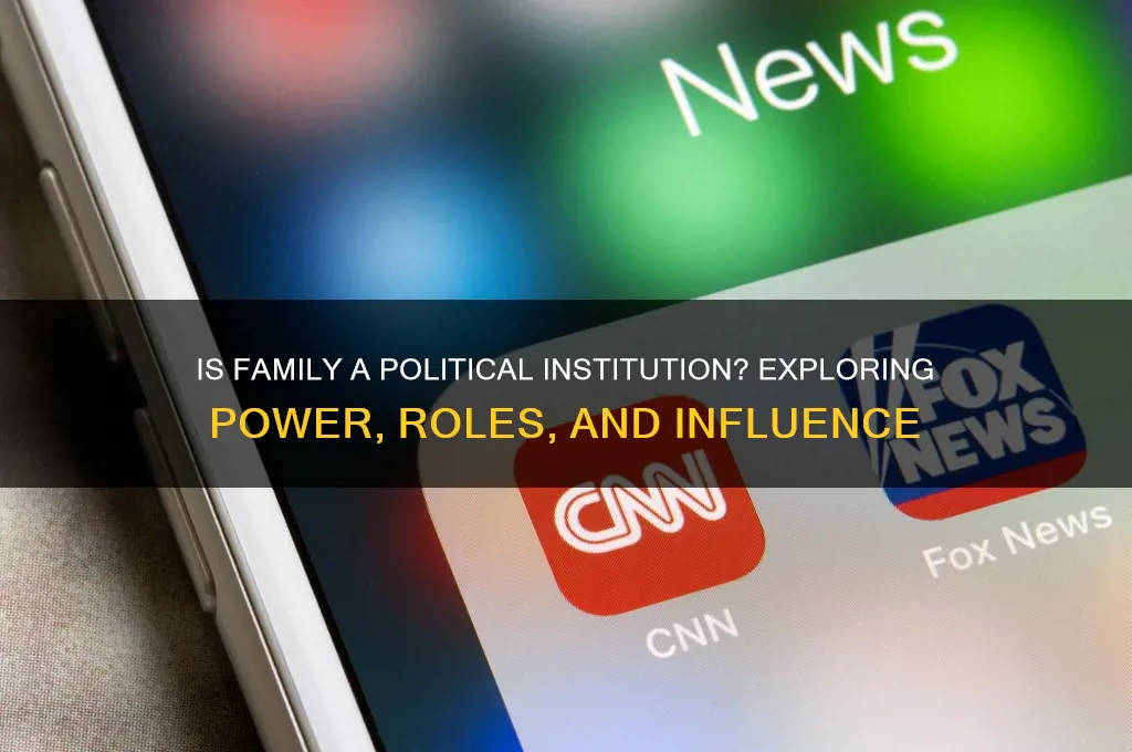 is family a political institution