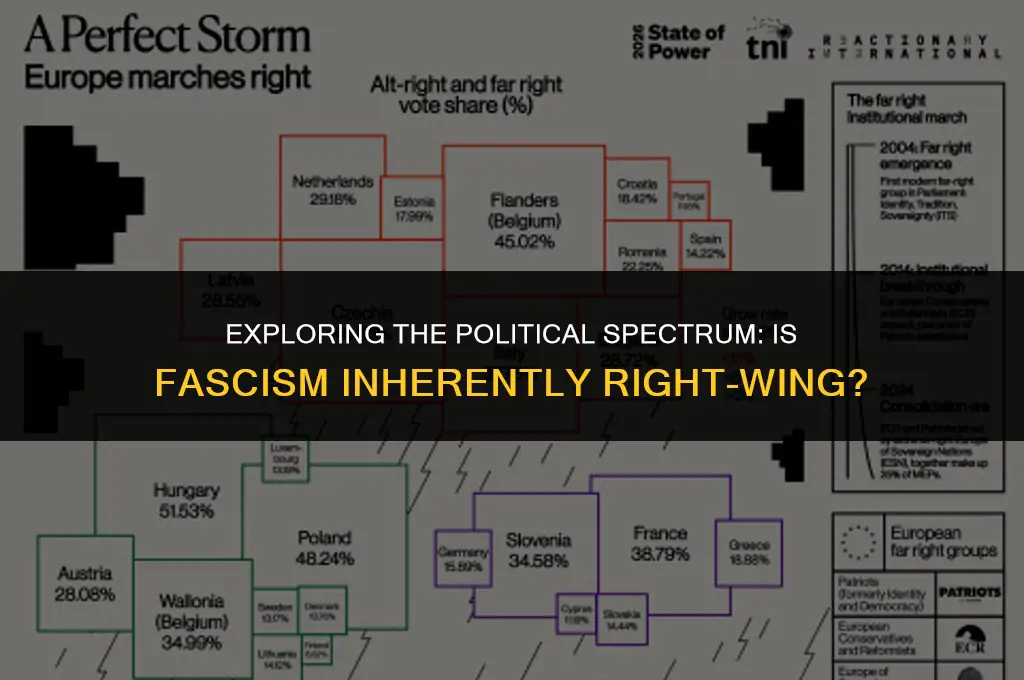 is fasism politically right