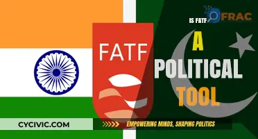 FATF: Financial Watchdog or Political Instrument? Analyzing Its Global Influence