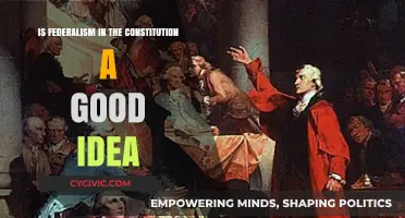 Federalism: Constitutional Benefits and Drawbacks