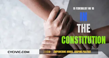 Federalist No. 10: A Constitutional Cornerstone?