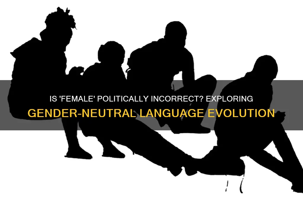 is female politically incorrect
