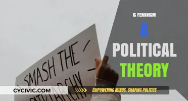 Is Feminism a Political Theory? Exploring Gender, Power, and Ideology