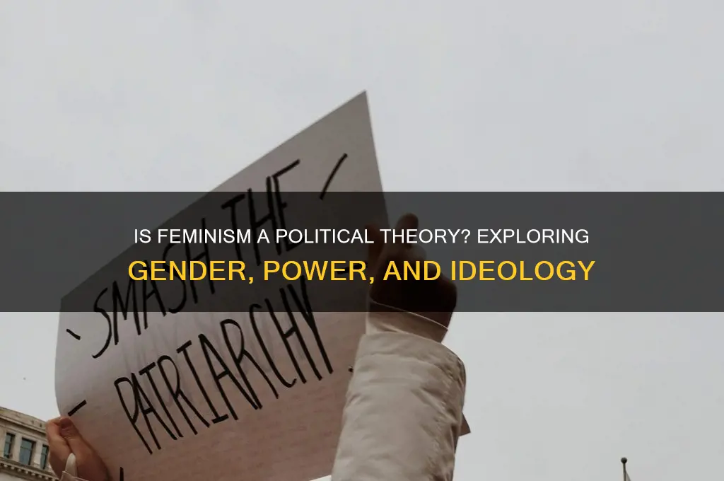 is feminism a political theory