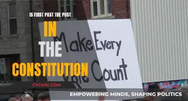Exploring First-Past-the-Post's Place in the Constitution