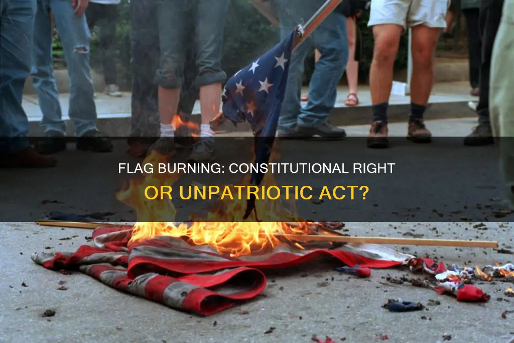 is flag burning part of the constitution