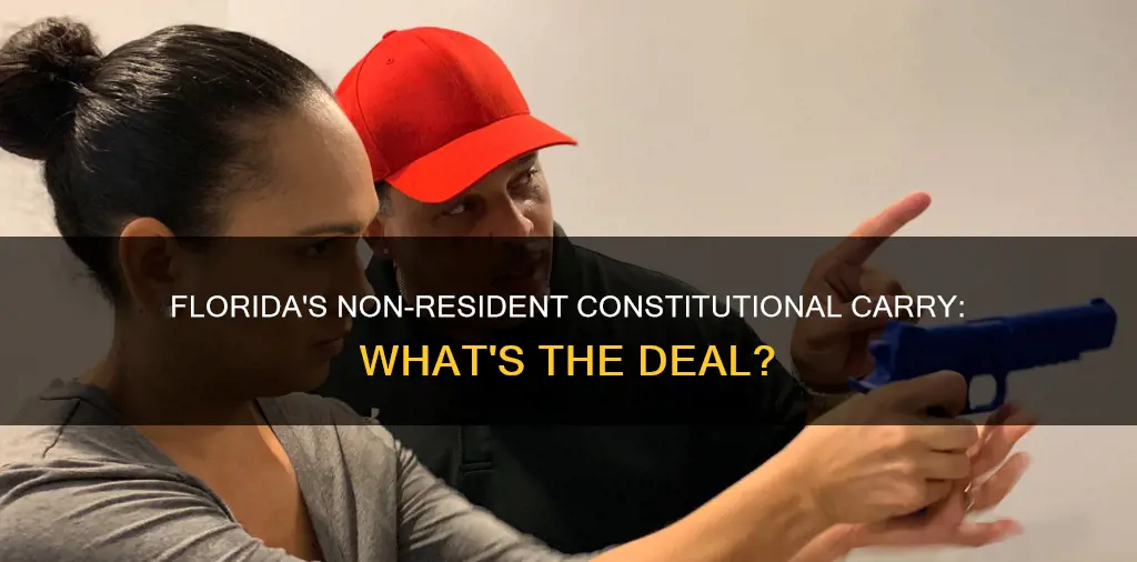 is florida constitutional carry for non residents