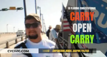 Florida's Constitutional Carry: Open Carry Law Explained