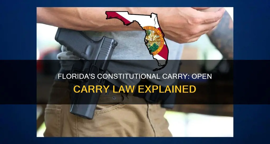 is florida constitutional carry open carry