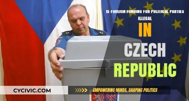 Is Foreign Funding for Czech Political Parties Illegal? Exploring the Law