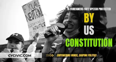 Foreigners' Free Speech: Protected by the US Constitution?