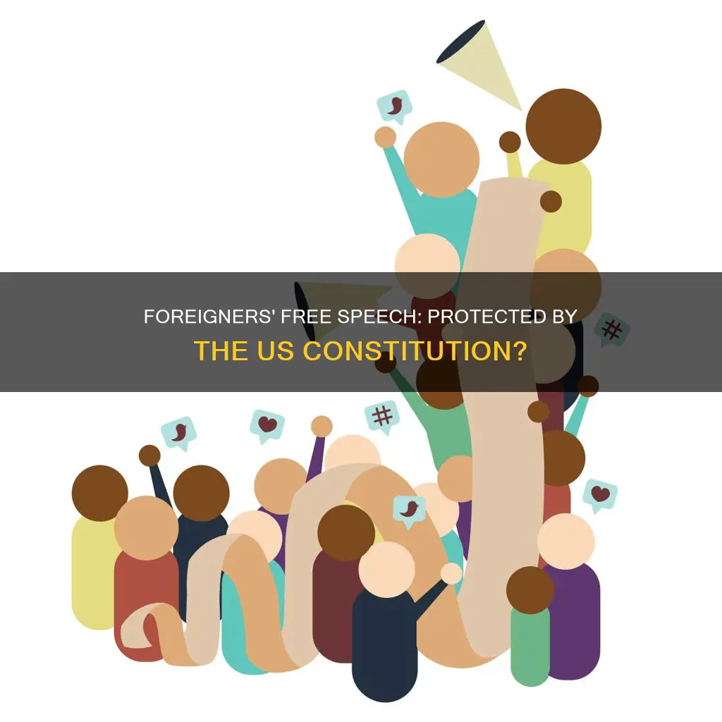 is foreigners free speech protected by us constitution