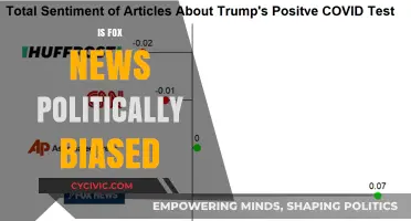 Is Fox News Politically Biased? Uncovering Media Slant and Influence
