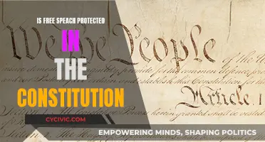 The Constitution's Free Speech Safeguards: What's the Limit?