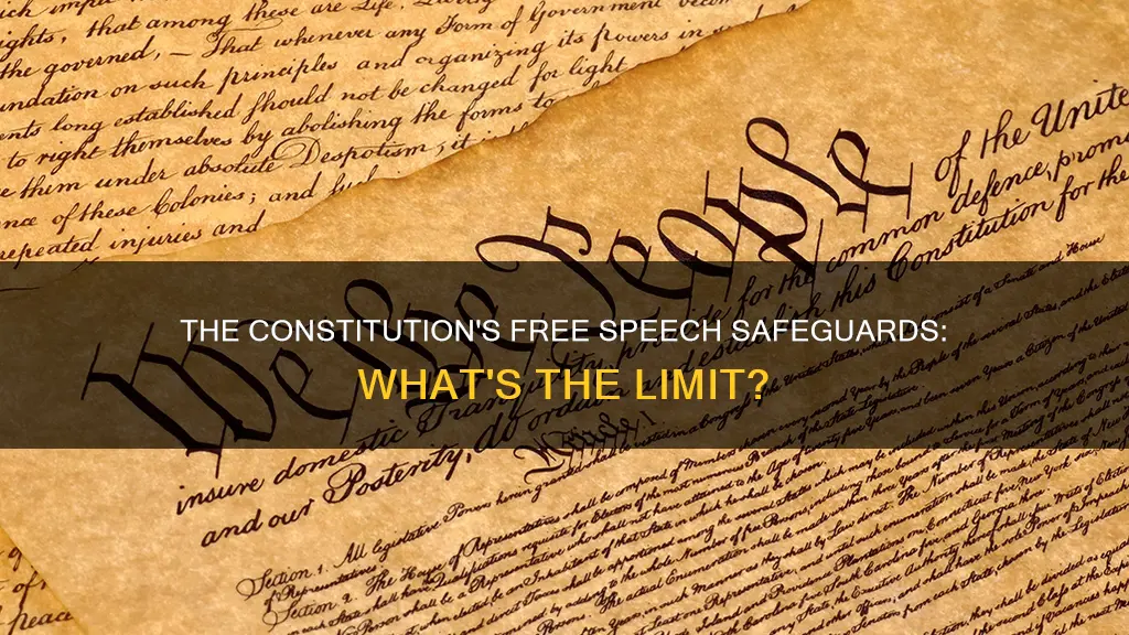 is free speach protected in the constitution