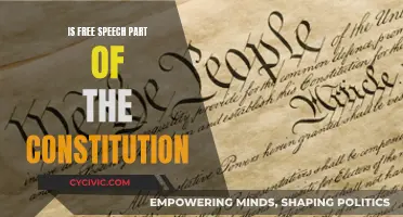 Free Speech: A Constitutional Right or Not?