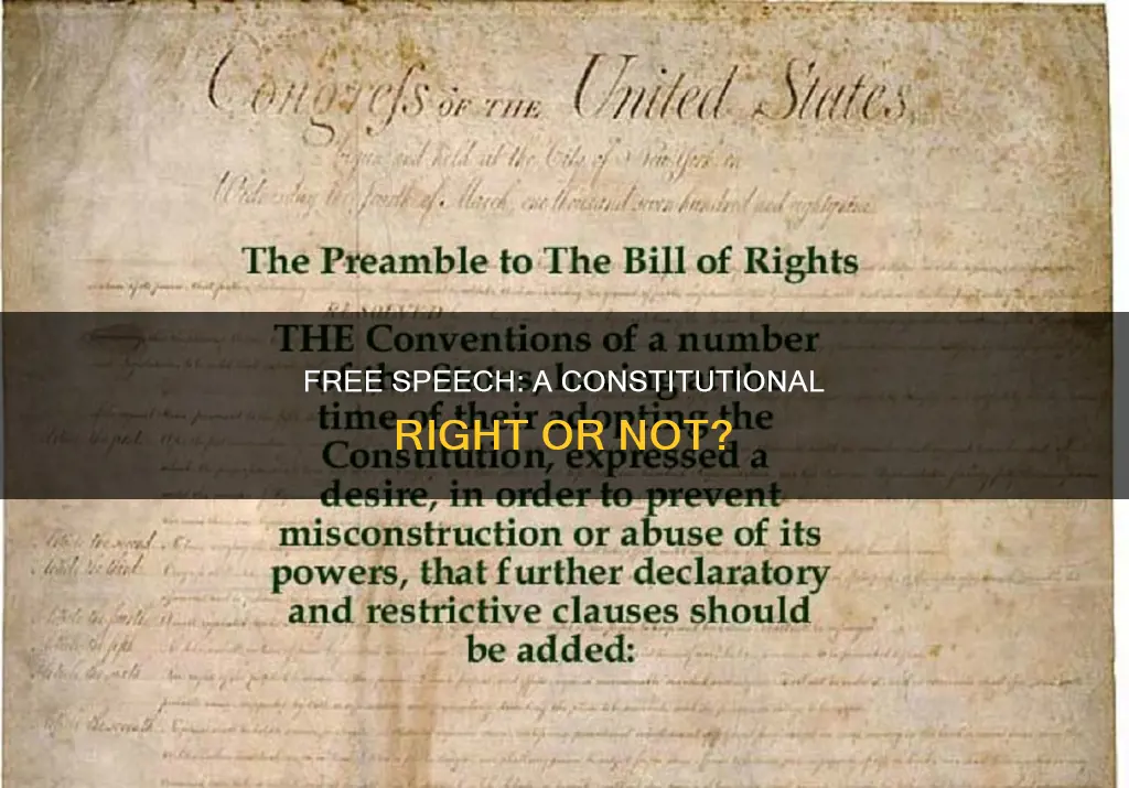is free speech part of the constitution