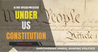 Free Speech: A Constitutional Right or Privilege?