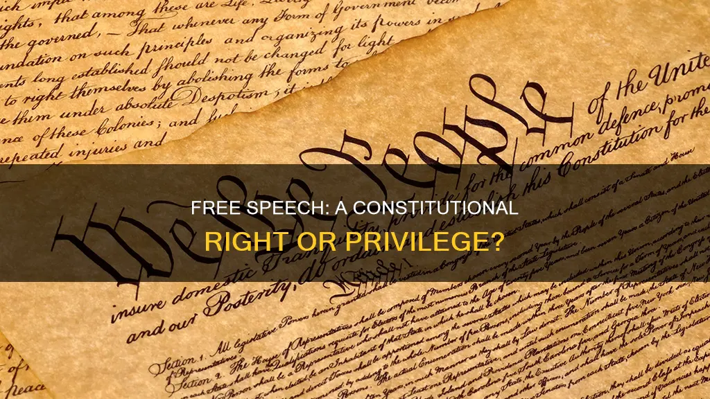 is free speech protected under us constitution