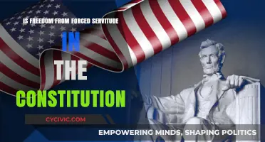 The Constitution's Freedom from Forced Servitude