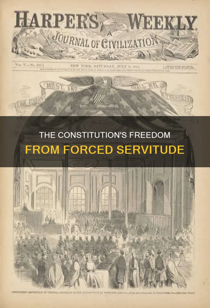 is freedom from forced servitude in the constitution
