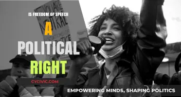 Exploring Freedom of Speech: A Fundamental Political Right?