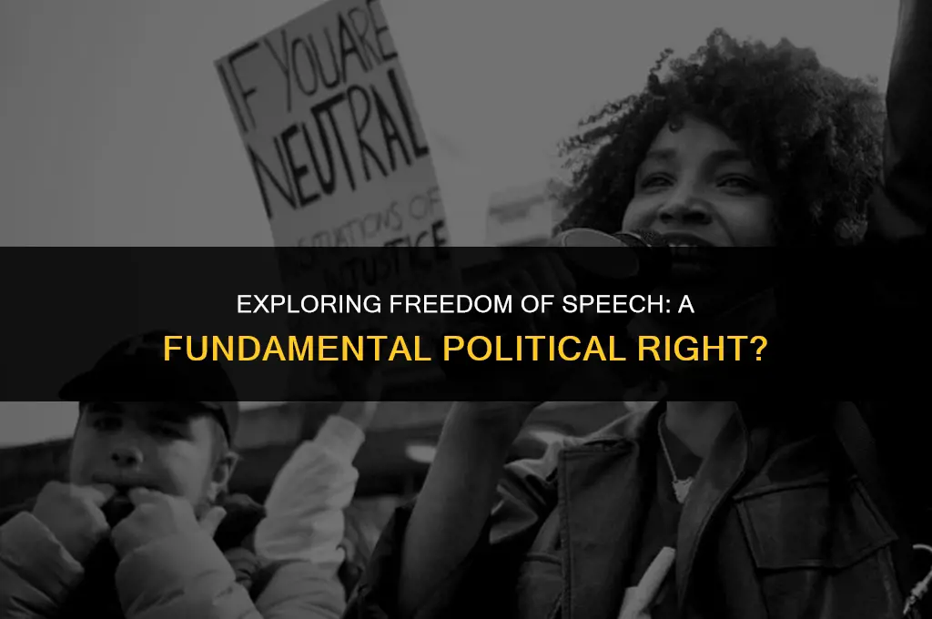is freedom of speech a political right