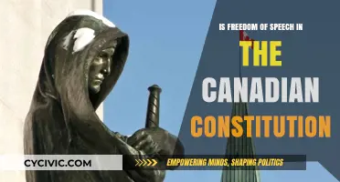 Freedom of Speech: Canada's Constitutional Right