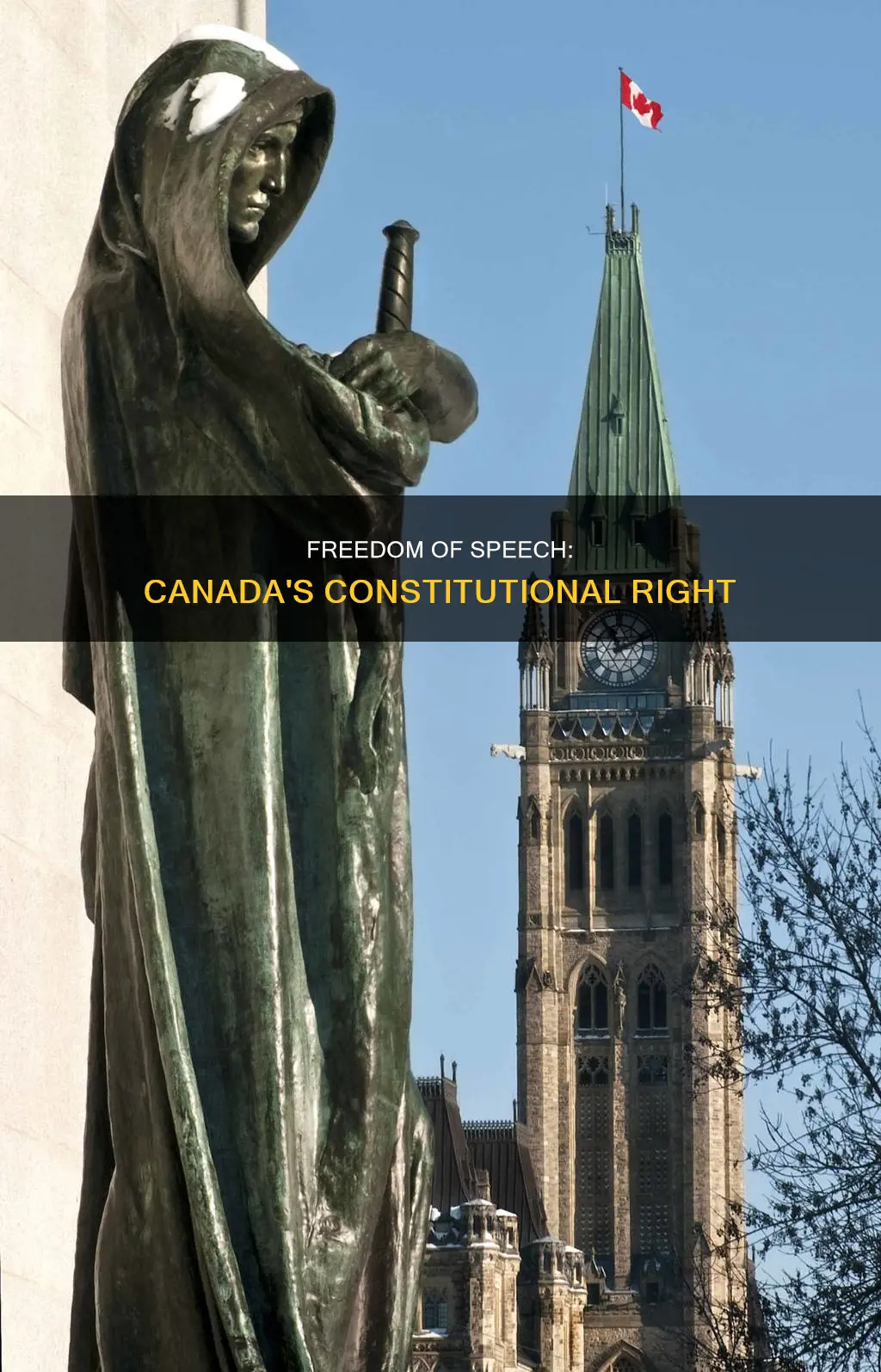 is freedom of speech in the canadian constitution