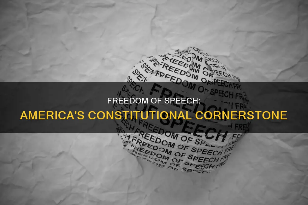 is freedom of speech in the us constitution