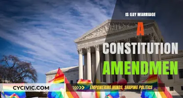 Gay Marriage: A Constitutional Right or Amendment?