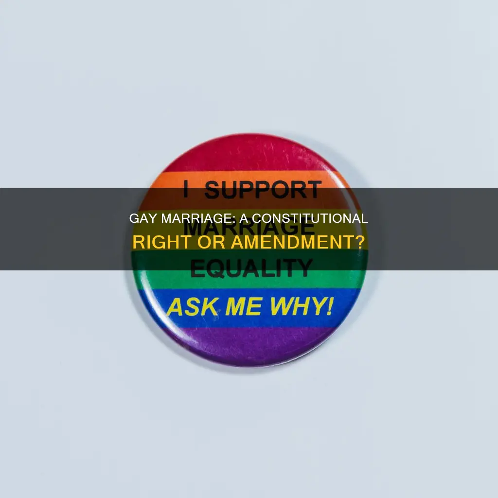is gay marriage a constitutional amendment