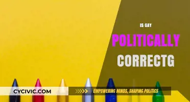 Is 'Gay' Politically Correct? Exploring Inclusive Language and Respectful Terms