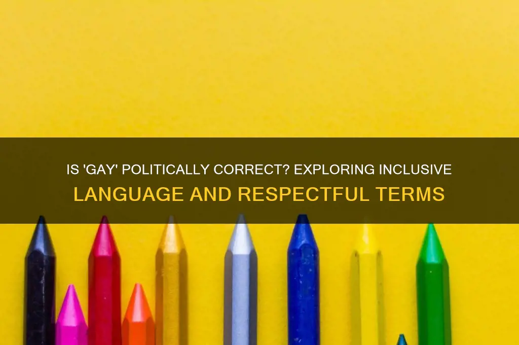 is gay politically correctg