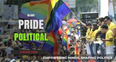 Is Gay Pride Political? Exploring the Intersection of Identity and Activism