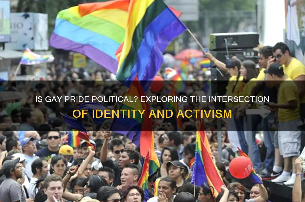 is gay pride political