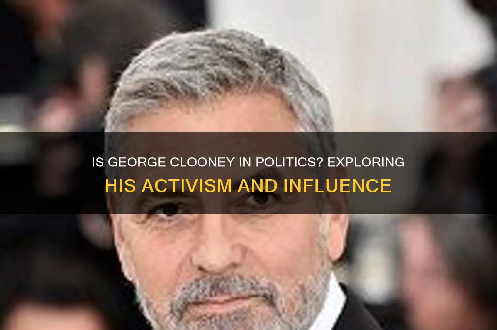 is george clooney in politics