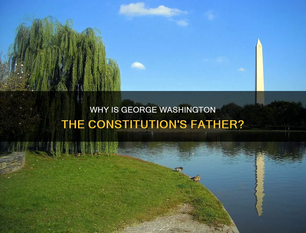 is george washington called the father of the constitution