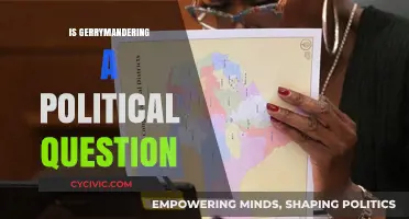 Is Gerrymandering a Political Question? Exploring Democracy's Boundaries