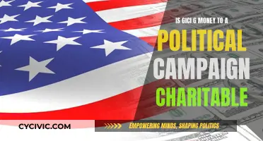 Donating to Political Campaigns: Tax Write-off or Not?