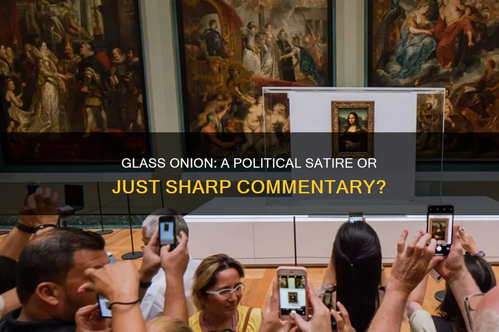 is glass onion political