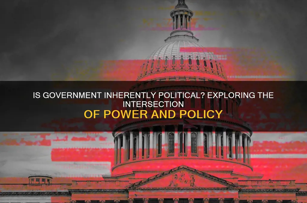 is government is political