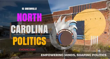 Exploring Greenville, North Carolina's Political Landscape: Trends and Insights