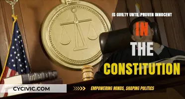 Guilty Until Proven Innocent: Is It Constitutional?